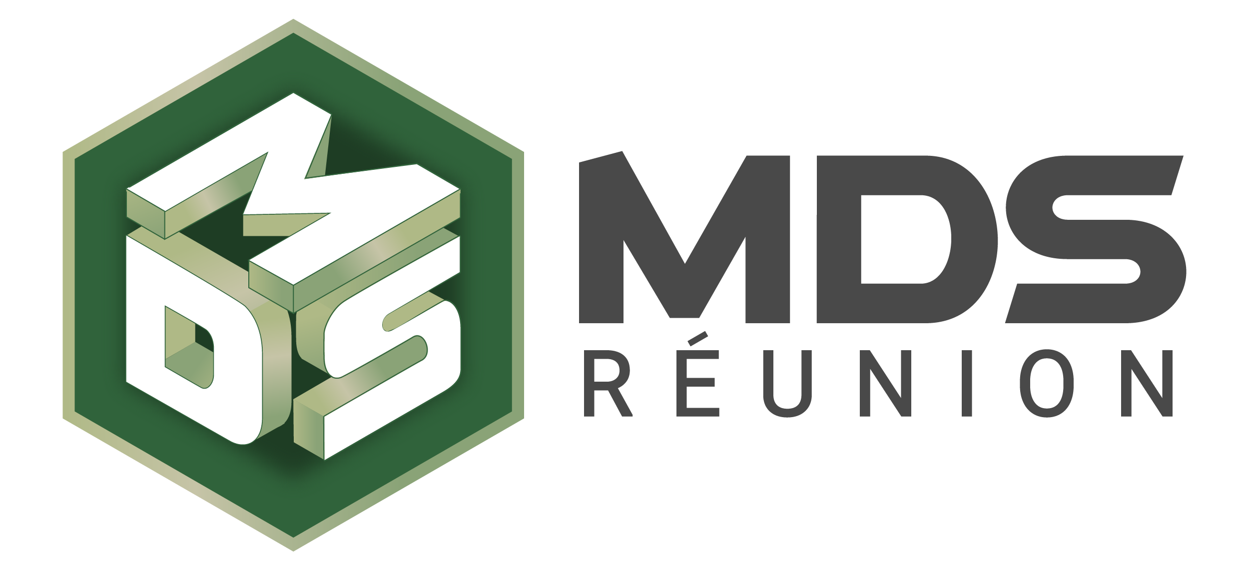 MDS-Réunion-Logo-2021 - Copie